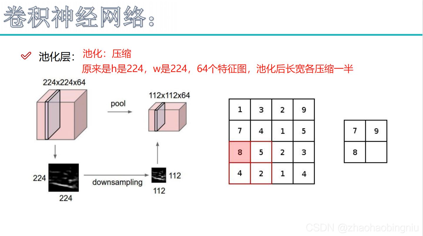 CNN卷积神经网络教程【超精华版】【附项目源码】_cnn教程-CSDN博客