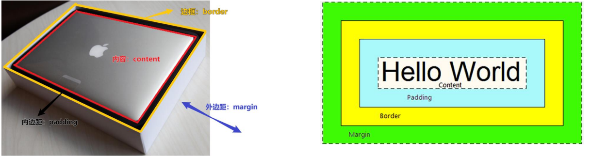 盒子模型的介绍