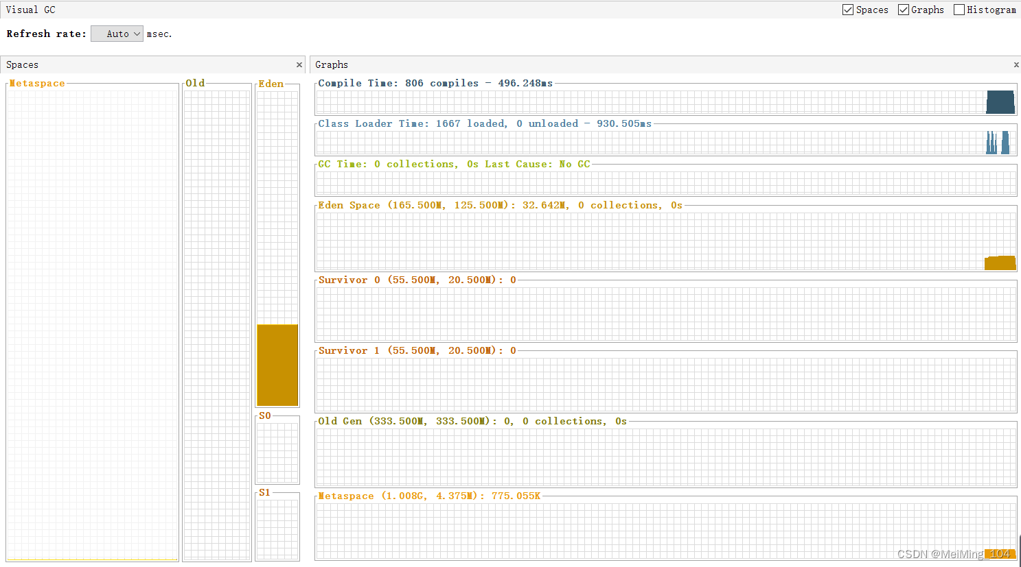 visual VM