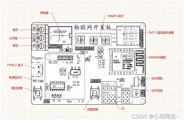 在这里插入图片描述