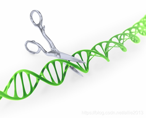 基因编辑工具 CRISPR-Cas9 被描述为基因手术刀，可以对活体 DNA 进行精确编辑   Adobe Stock Images