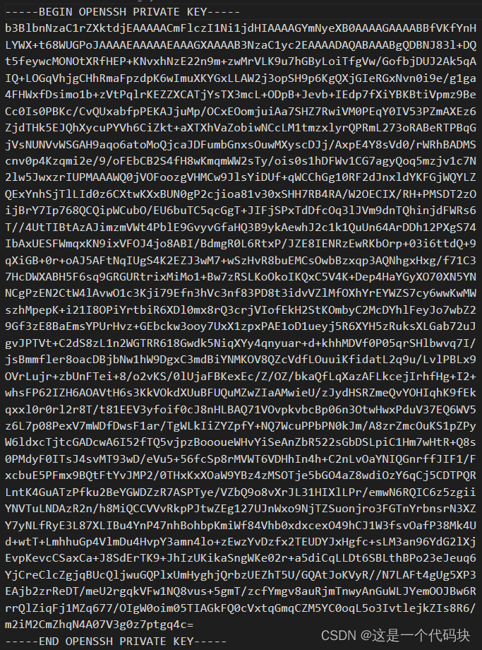 可以看到OpenSSH私钥开始和结尾的字样 贼多 看着很唬人