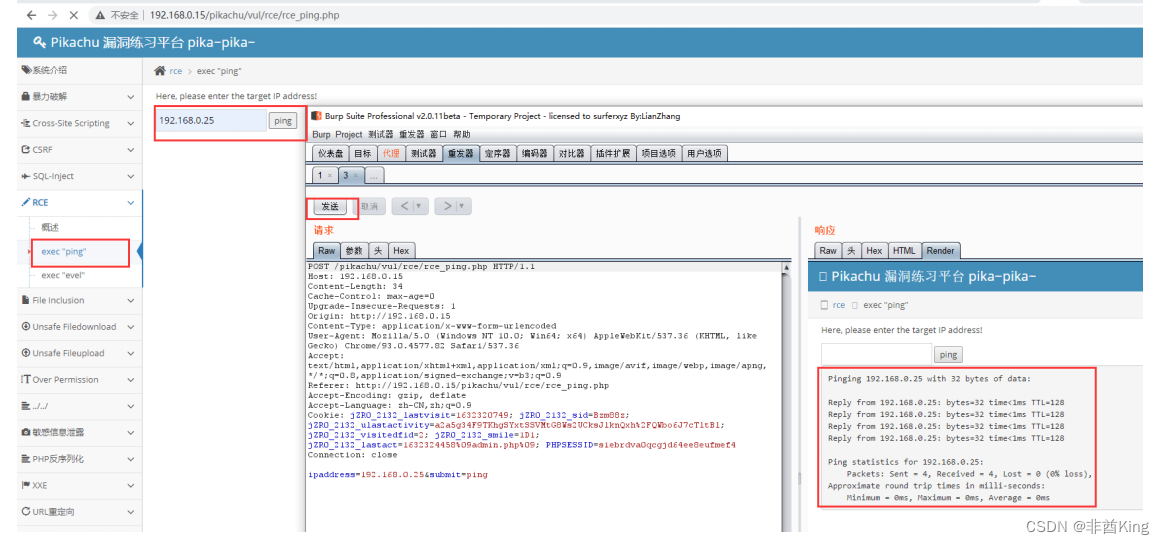 远程代码执行漏洞的利用与防御_java debug 远程调试接口远程代码执行漏洞-CSDN博客