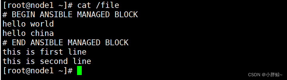 ansible-ansible-block-csdn