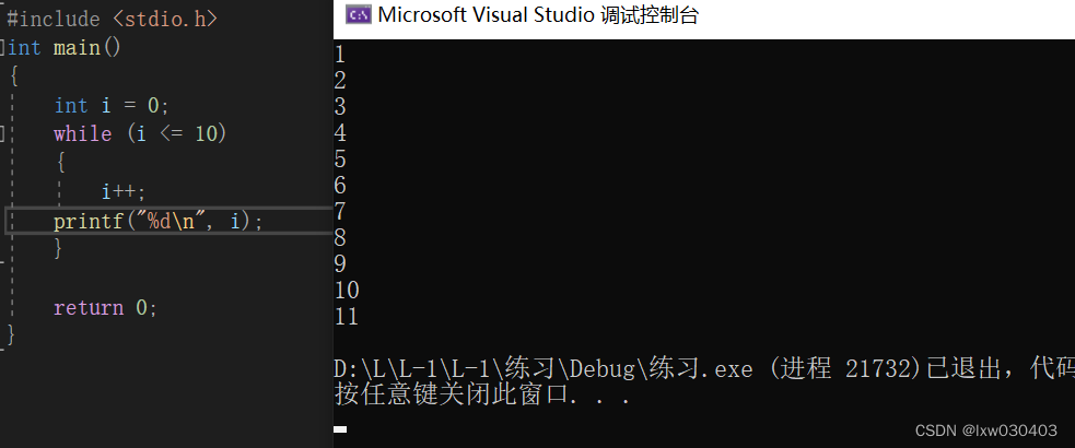 初识C语言——2