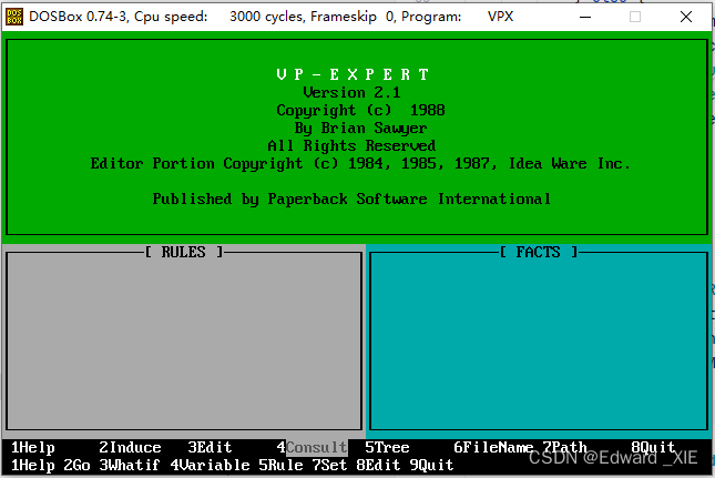 dosbox installer