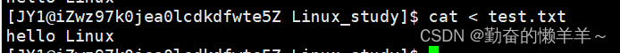 Linux基本指令【Linux操作系统】