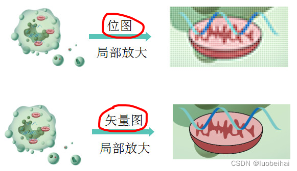 [外链图片转存失败,源站可能有防盗链机制,建议将图片保存下来直接上传(img-d6QhLzcg-1676385094275)(../picture/image-20230212212129767.png)]