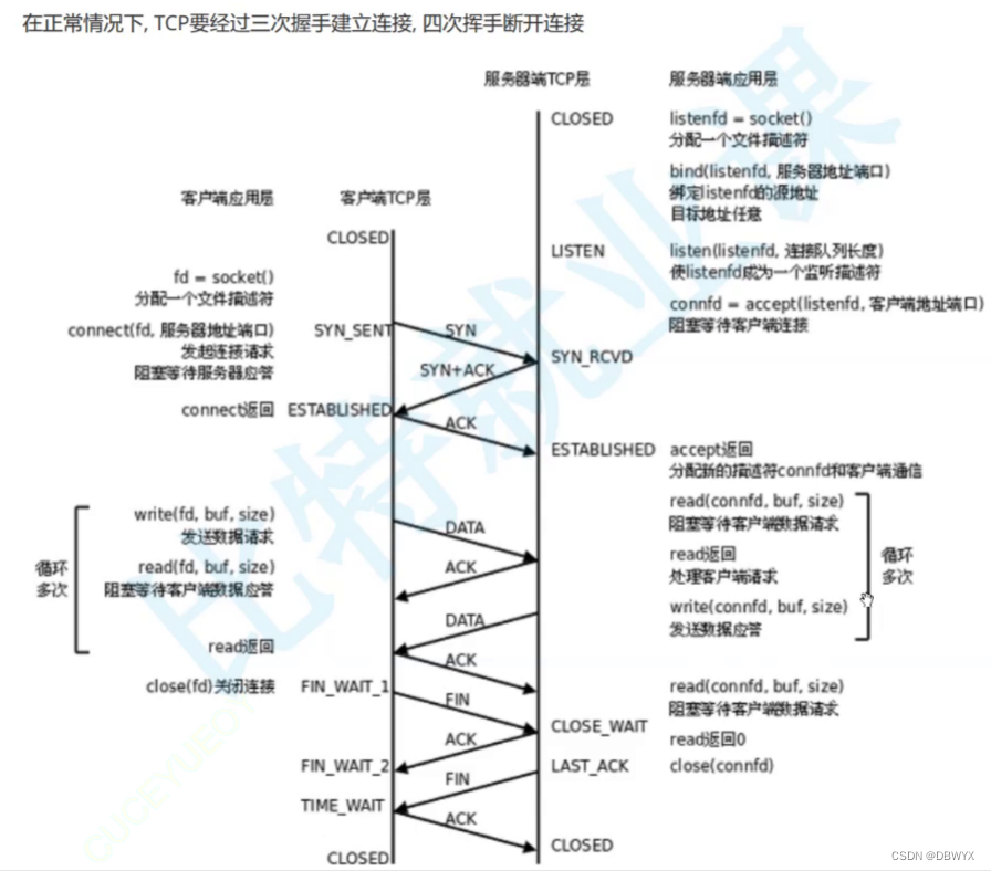 UDP TCP 报文内容