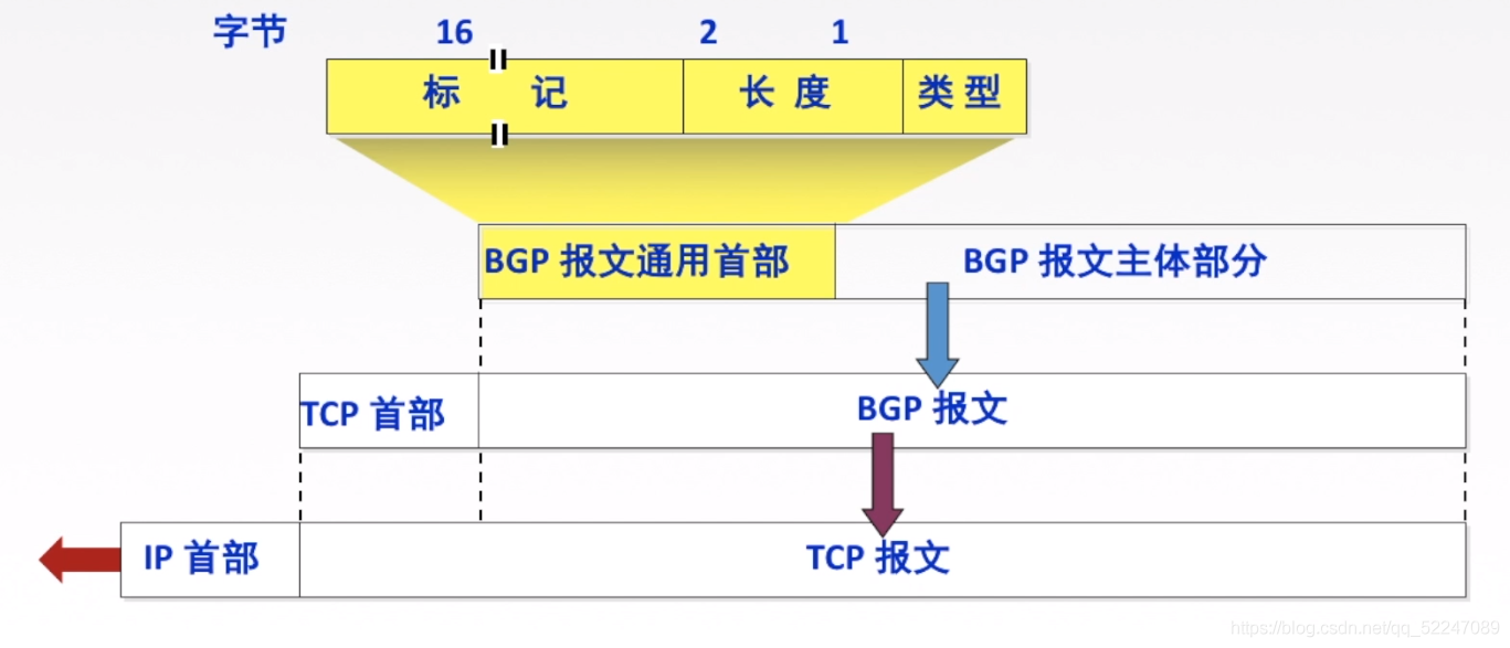 BGP协议报文格式