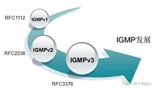 igmp是负责ip组播成员管理的协议_IGMP协议