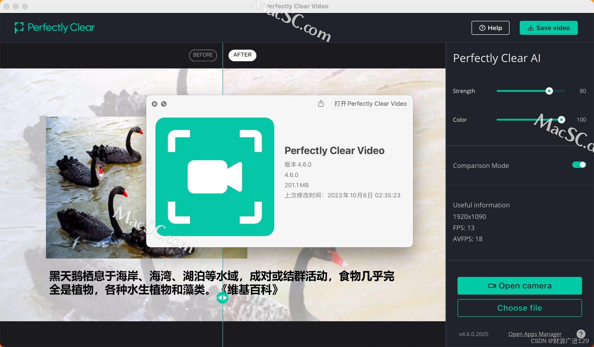 完美清晰，炫酷畅享——Perfectly Clear Video为你带来卓越的AI视频增强体验