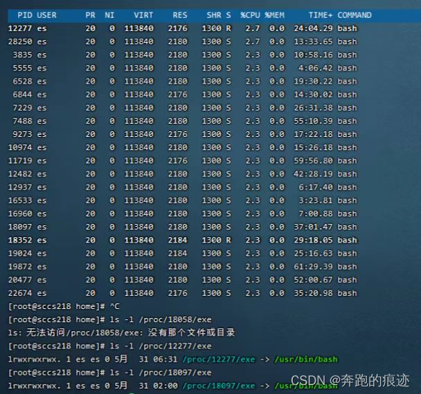 查看进程启动的路径