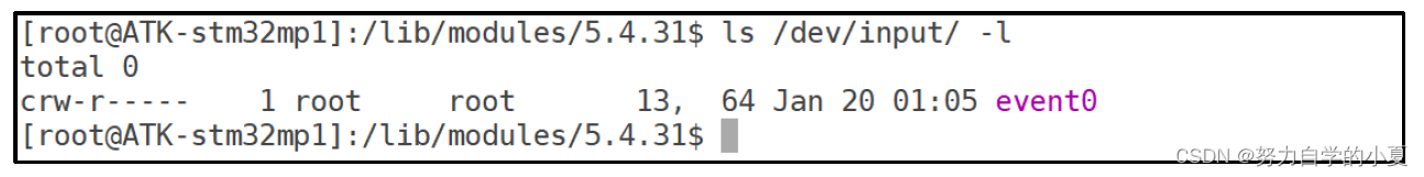 加载驱动后/dev/input目录