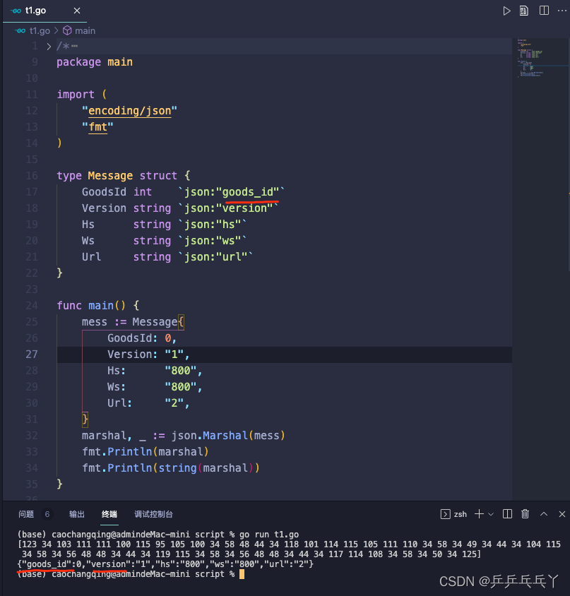 go json.Marshal编码的结构体注意事项_json.marshal 编码问题CSDN博客