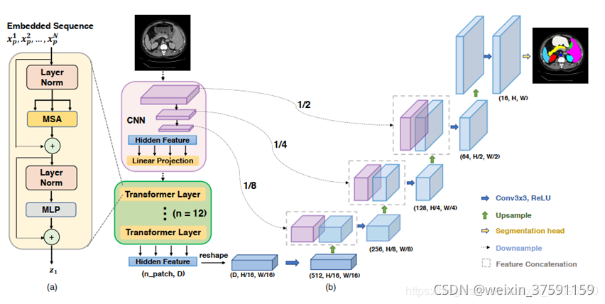 论文解读《TransUNet: Transformers Make Strong Encoders for Medical Image ...