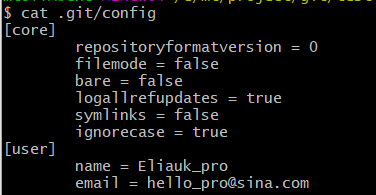 .git/config