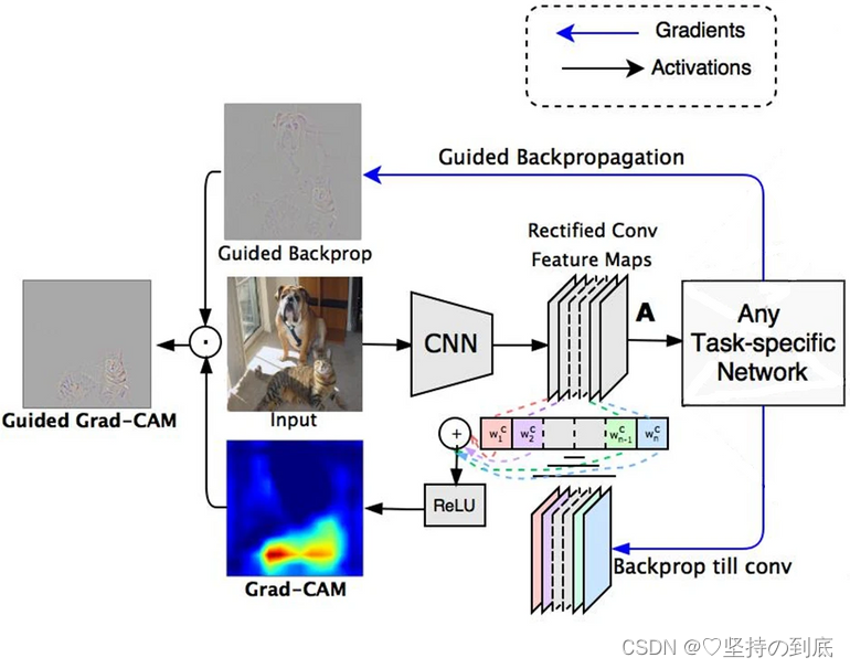 GradCAM_gradcam对于图像分割,怎么求特征图的权重CSDN博客