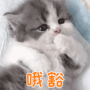 Java中的抽象类和接口