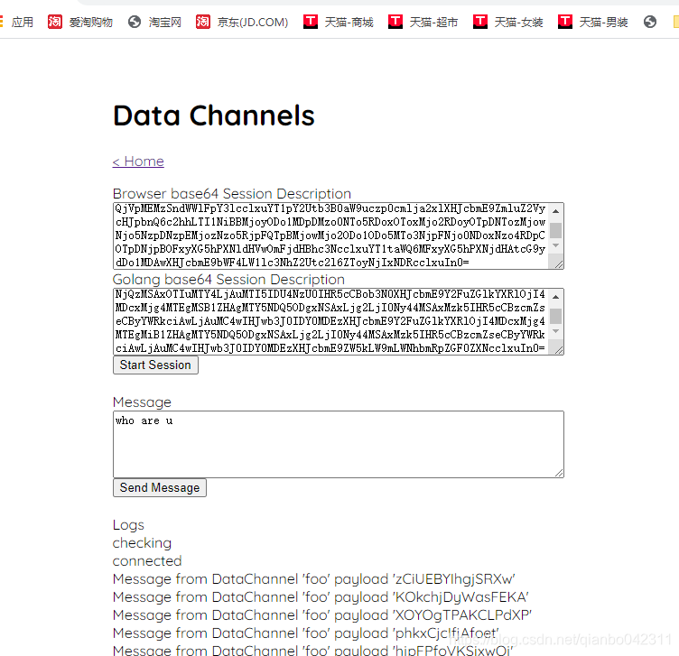 data channel 示例