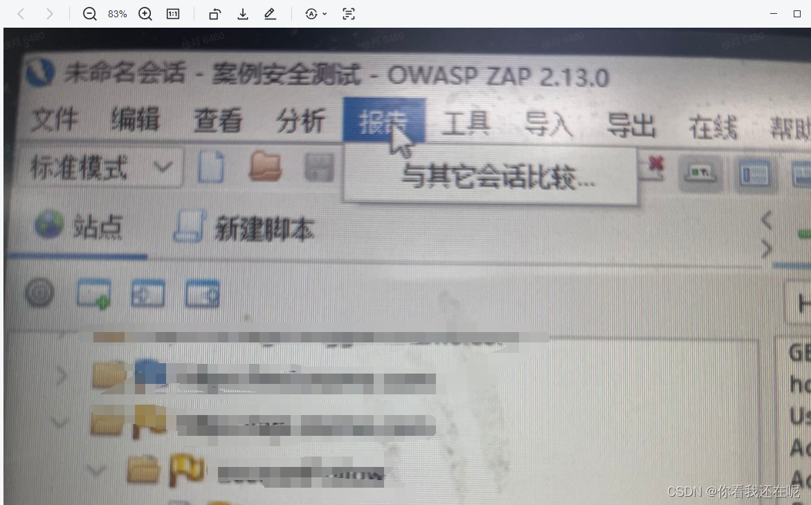 【OWASP如何导出测试报告】