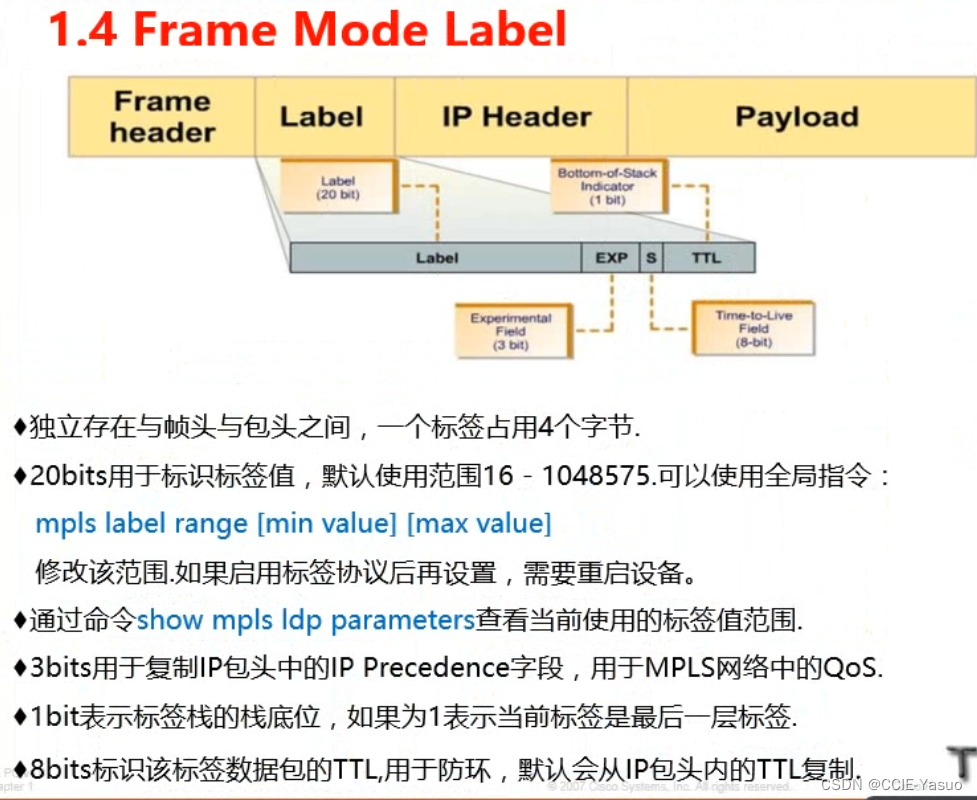CCIE理论-第十八篇-MPLS概念描述