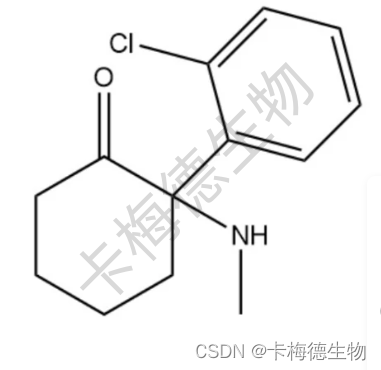 药物滥用第二篇介绍