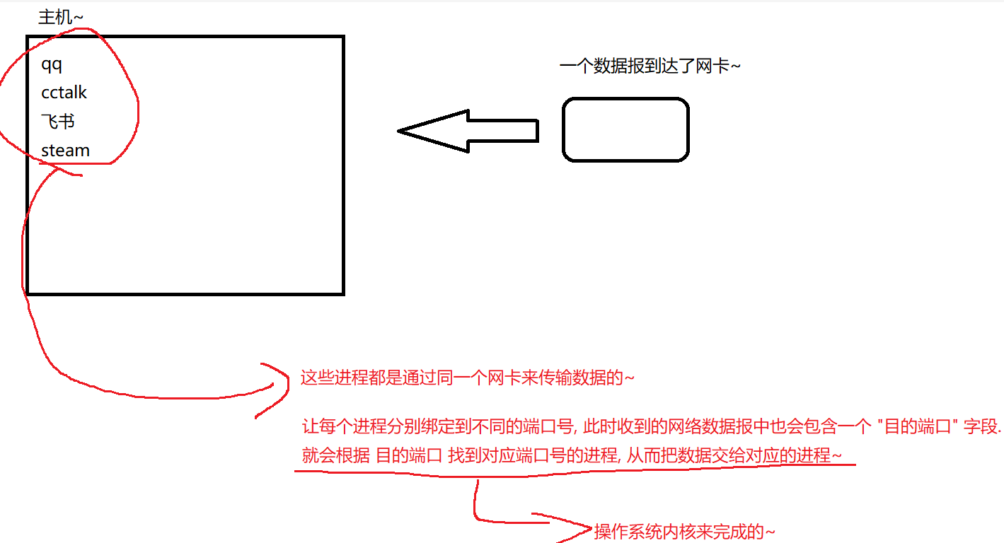 网络编程(TCP+UDP)(3)