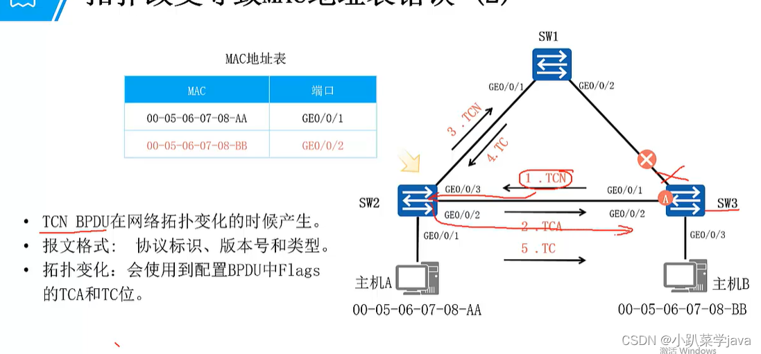 STP协议