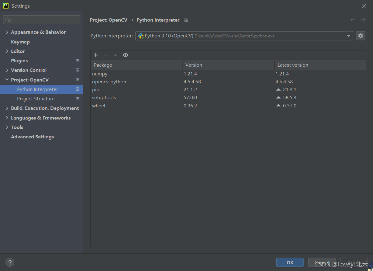 Python以及pycharm安装OpenCV的方法_能安装opencv不能安装opencv-python-CSDN博客