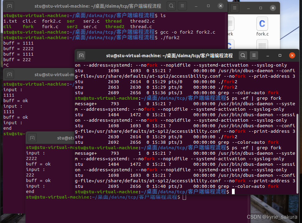 Linux24 -- tcp相关概念、多个客户端链接服务端代码