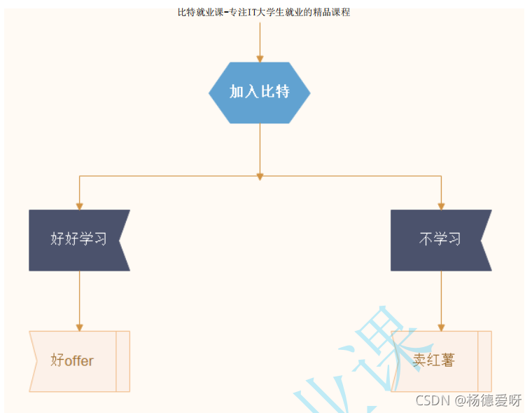 选择语句