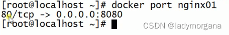 【Docker】第四章 容器管理