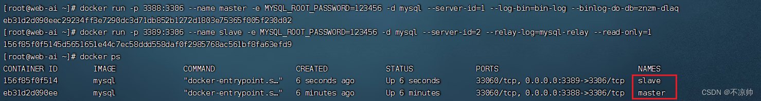 Docker实现MySQL8主从读写分离【超简洁】