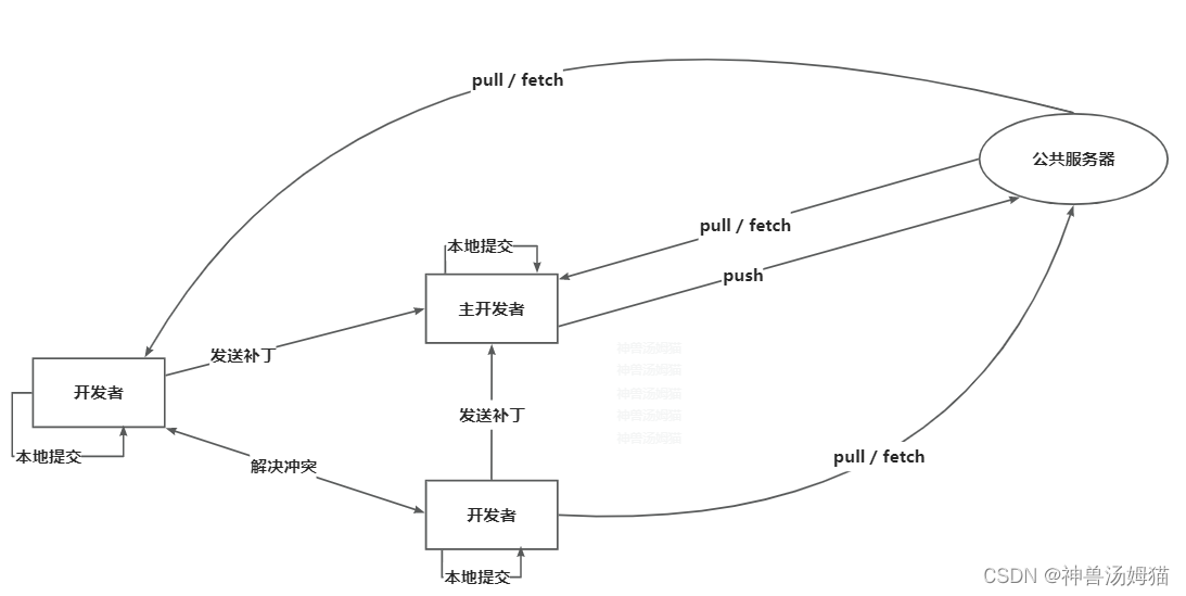 文章图片