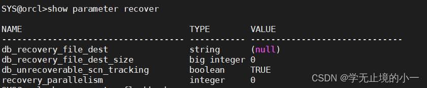 Oracle Data Guard之Snapshot Standby（快照备库）-CSDN博客