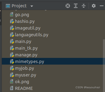 自定义mimetypes.py