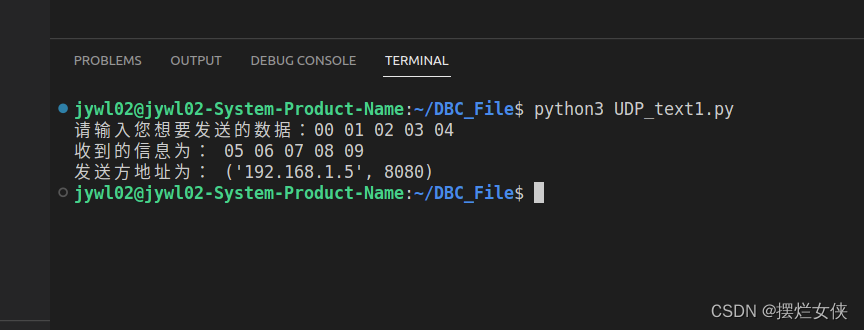 ubuntu下使用python进行简单的UDP通信