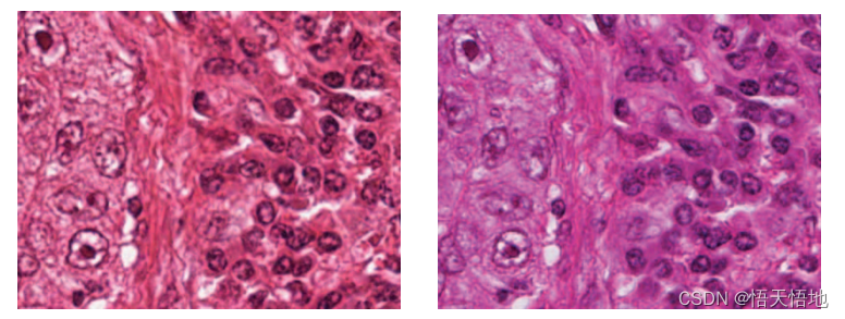 论文笔记——Fast GPU-Enabled Color Normalization for Digital Pathology ...