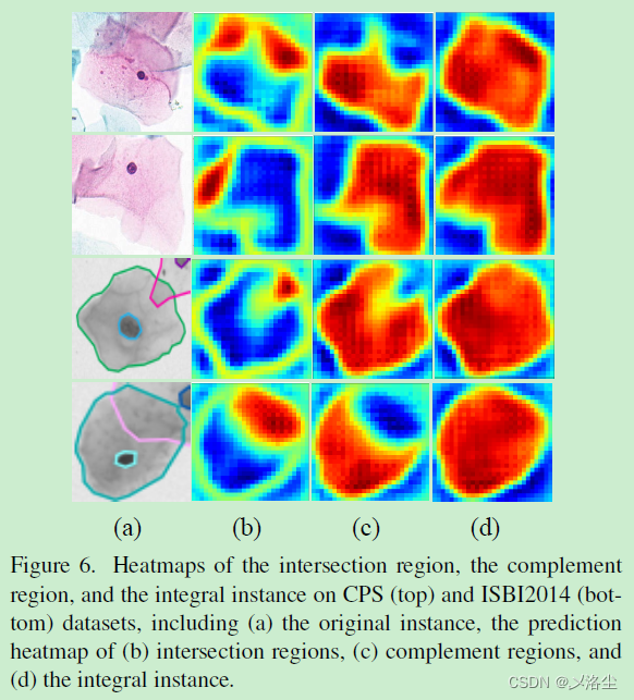 细胞实例分割：DoNet: Deep De-overlapping Network for Cytology Instance Segmentation 论文阅读笔记