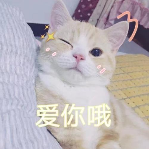简易的站内搜索引擎 (万字长文！！绝对值得一看！！)