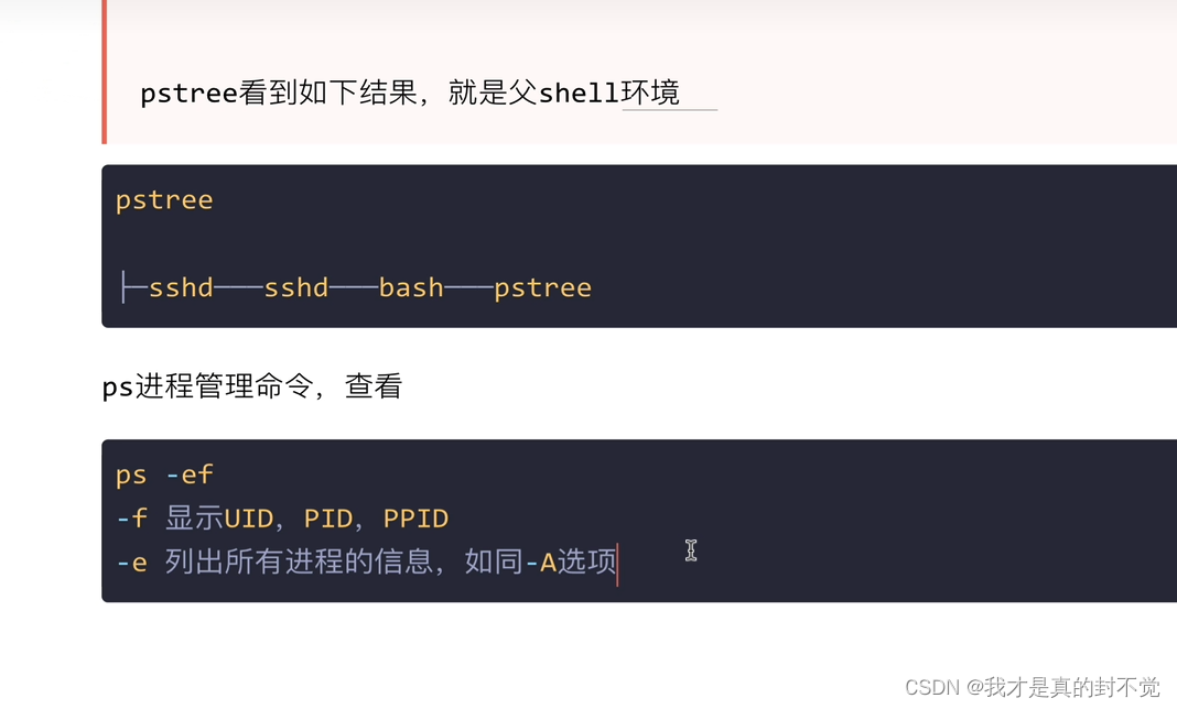 Shell最全笔记 就决定用你了