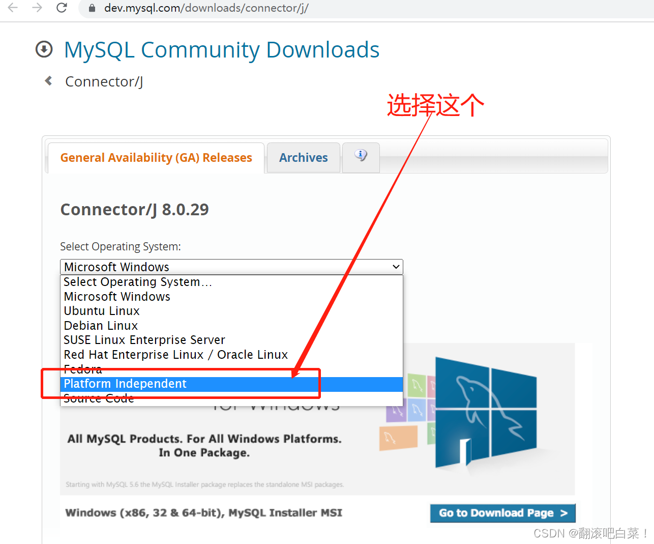 Jmeter链接MYSQL 报错Cannot create PoolableConnectionFactory