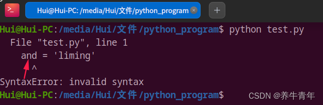 2. Python变量的命名规则_python中print可以作为变量名-CSDN博客