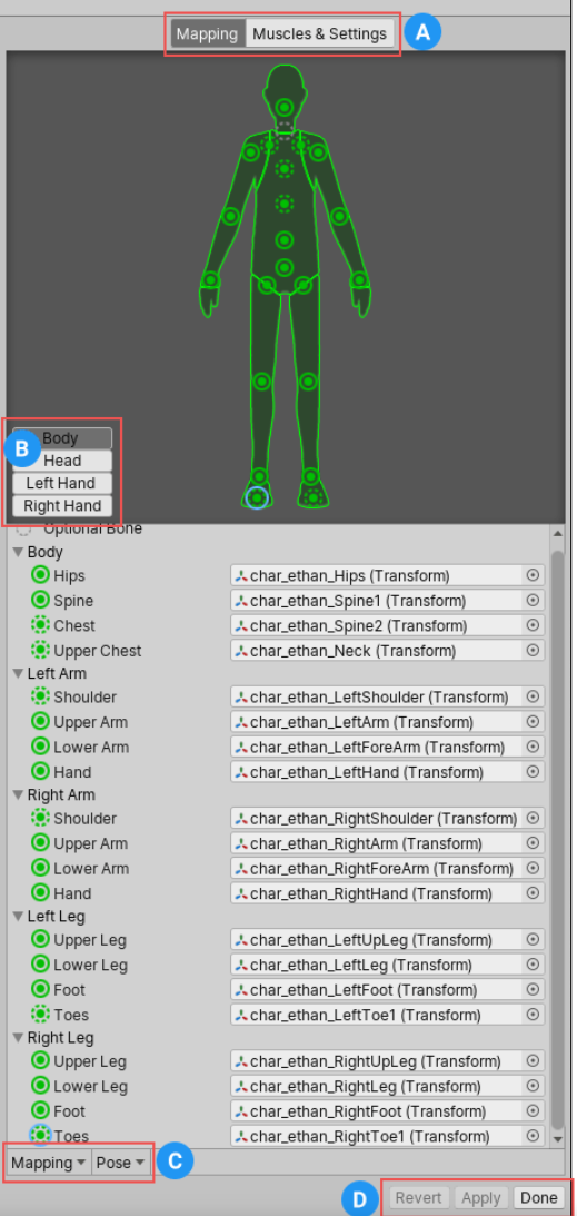 Animator Animator Controller Avatar relationship