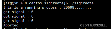Linux：进程信号