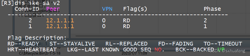 [HCIE] IPSec-VPN (IKE自动模式)