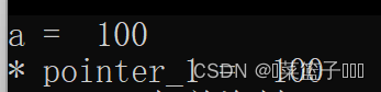 【c/c++】指针的用法（一）