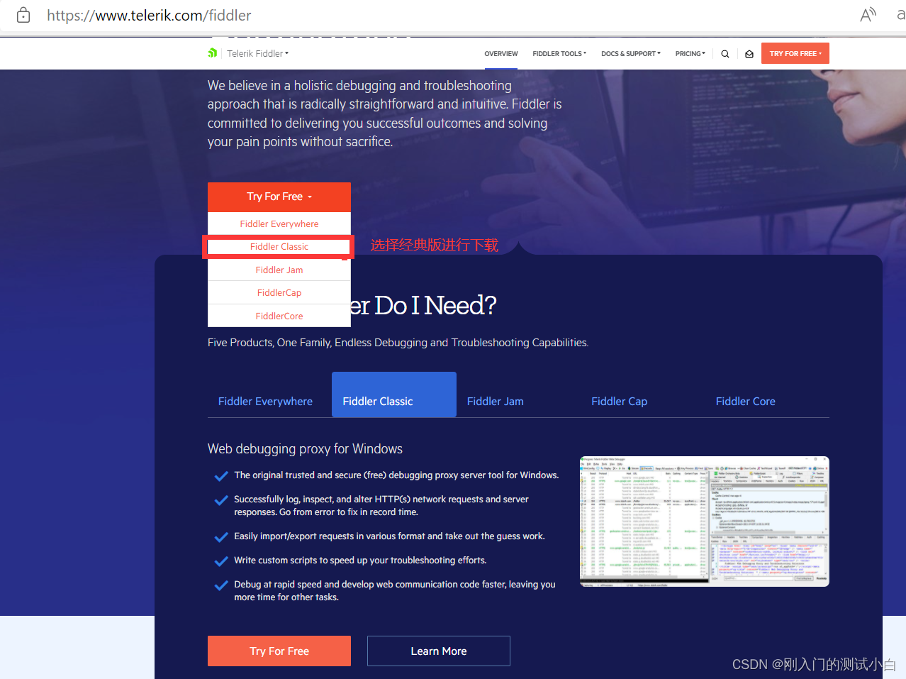 Fiddler Diddler fiddler的下载与安装_diddler下载-CSDN博客