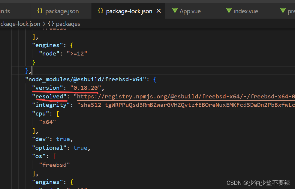 Differences between package.json and pnpm-lock.yaml